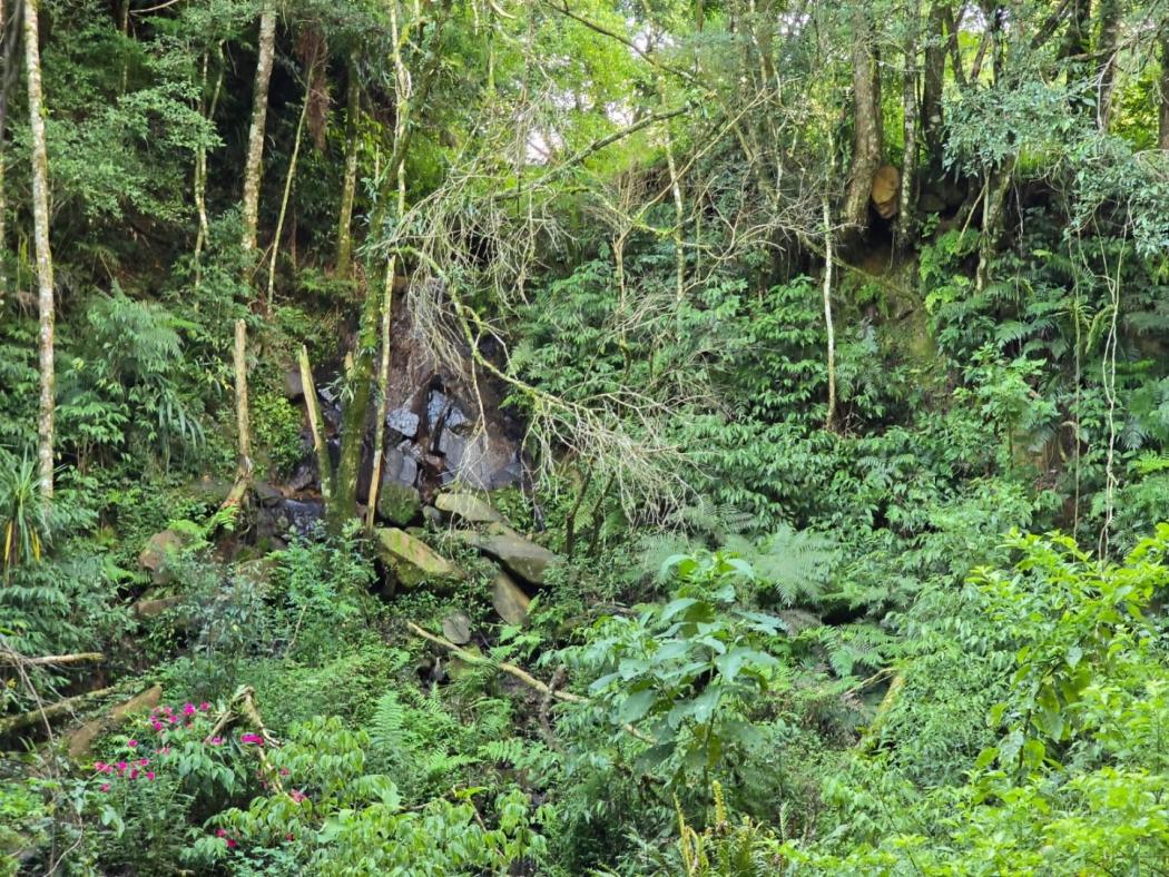 Terreno à venda, 9970 m² por R$ 1.540.000,00 - Tanguá - Almirante Tamandaré/PR