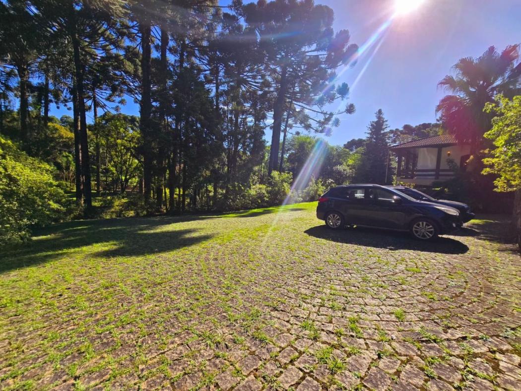 Miniatura 22
