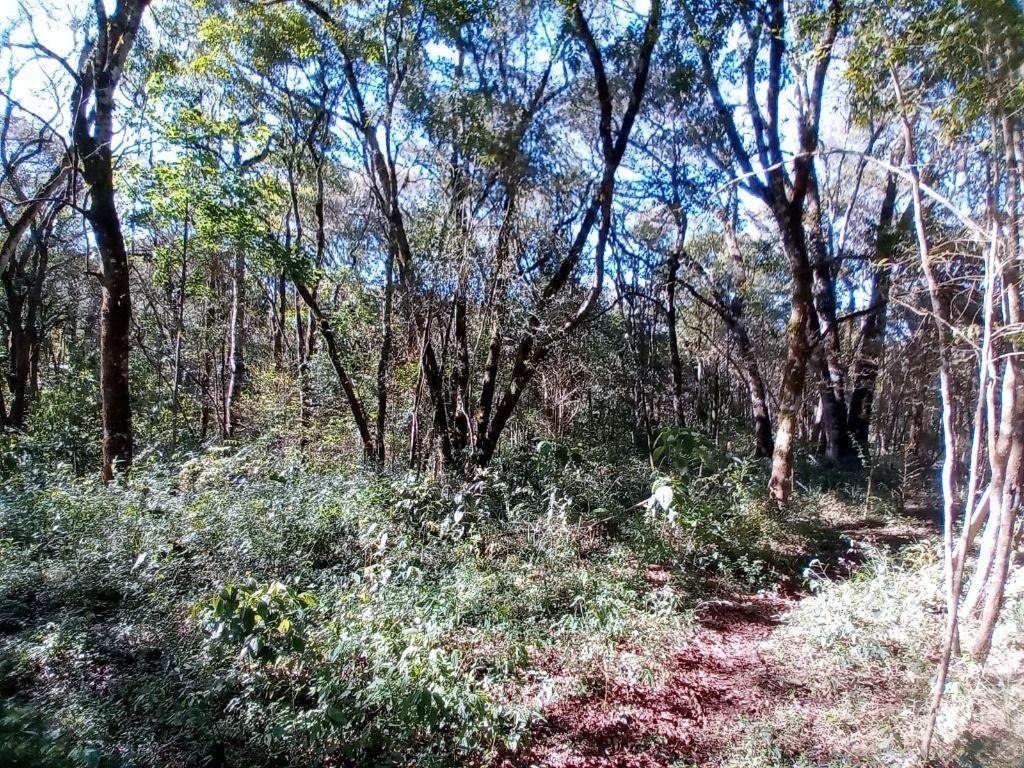Terreno à venda, 2000 m² por R$ 1.419.000,00 - São Gabriel - Colombo/PR