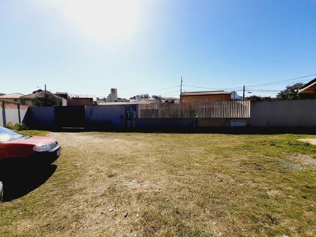 Miniatura 11