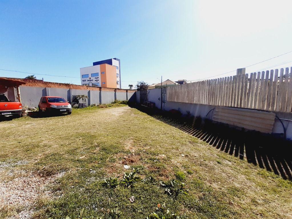 Miniatura 14