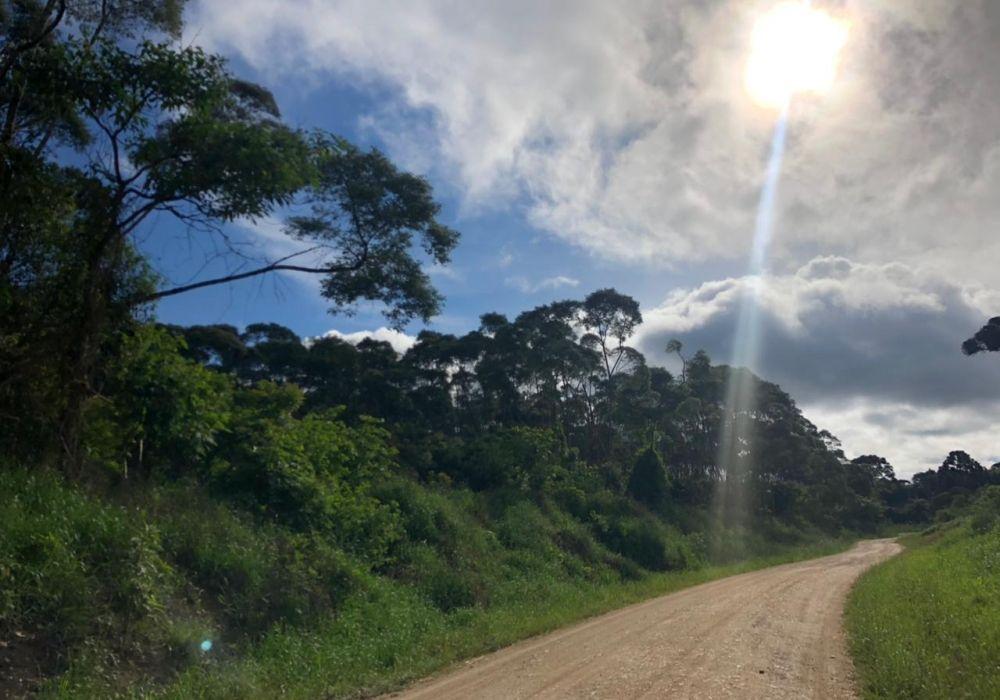 Terreno à venda, 525484m² por R$ 2.390.000 - Centro - Bocaiúva do Sul/PR