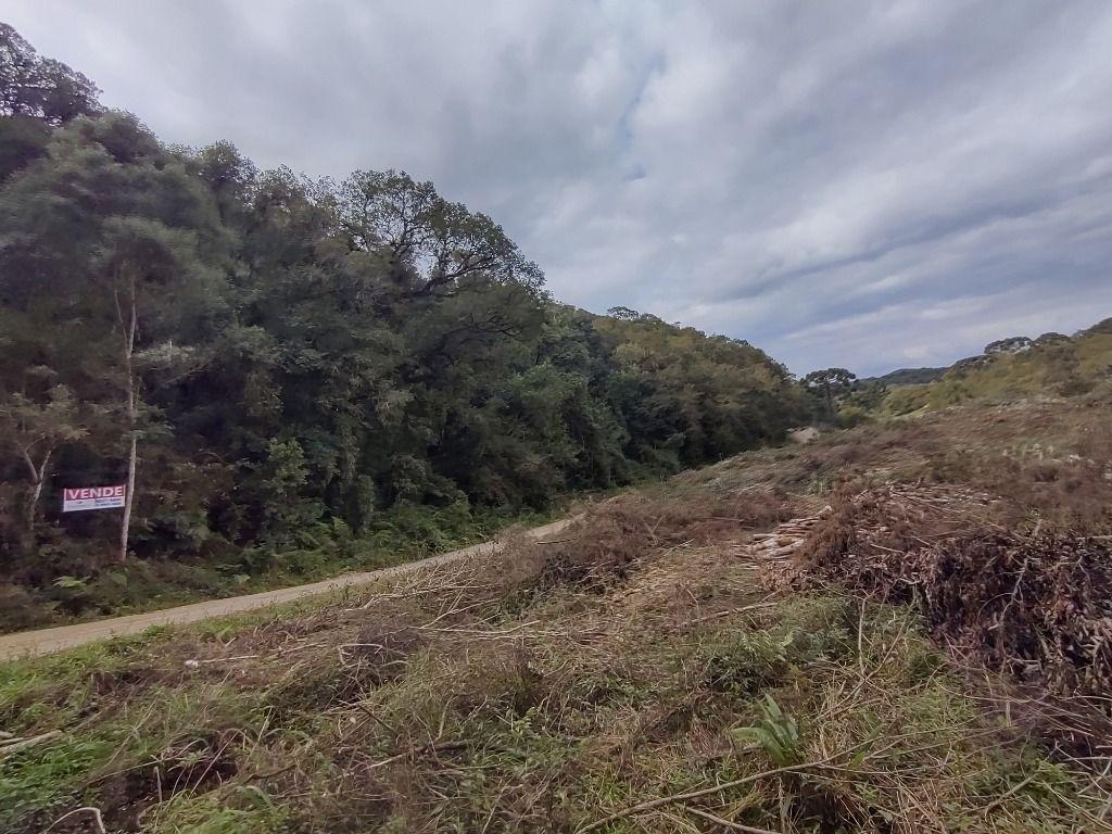 Terreno à venda, 525484m² por R$ 2.390.000 - Centro - Bocaiúva do Sul/PR