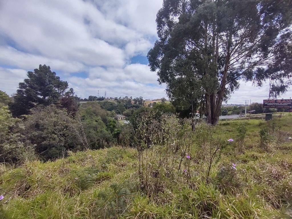 Terreno à venda, 4360 m² por R$ 1.800.000,00 - Atuba - Curitiba/PR