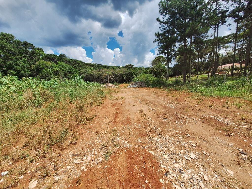 Chácara à venda, 4000 m² por R$ 235.000,00 - São Dimas - Colombo/PR