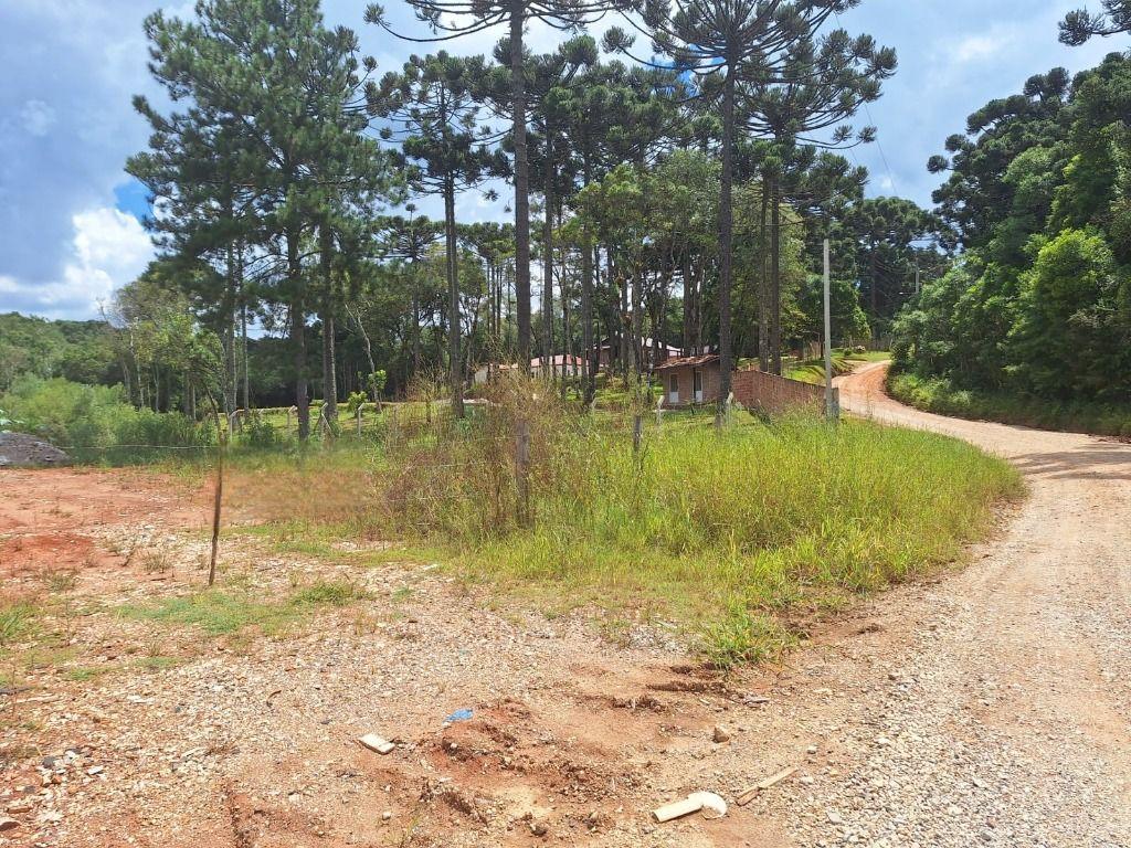 Chácara à venda, 4000 m² por R$ 235.000,00 - São Dimas - Colombo/PR