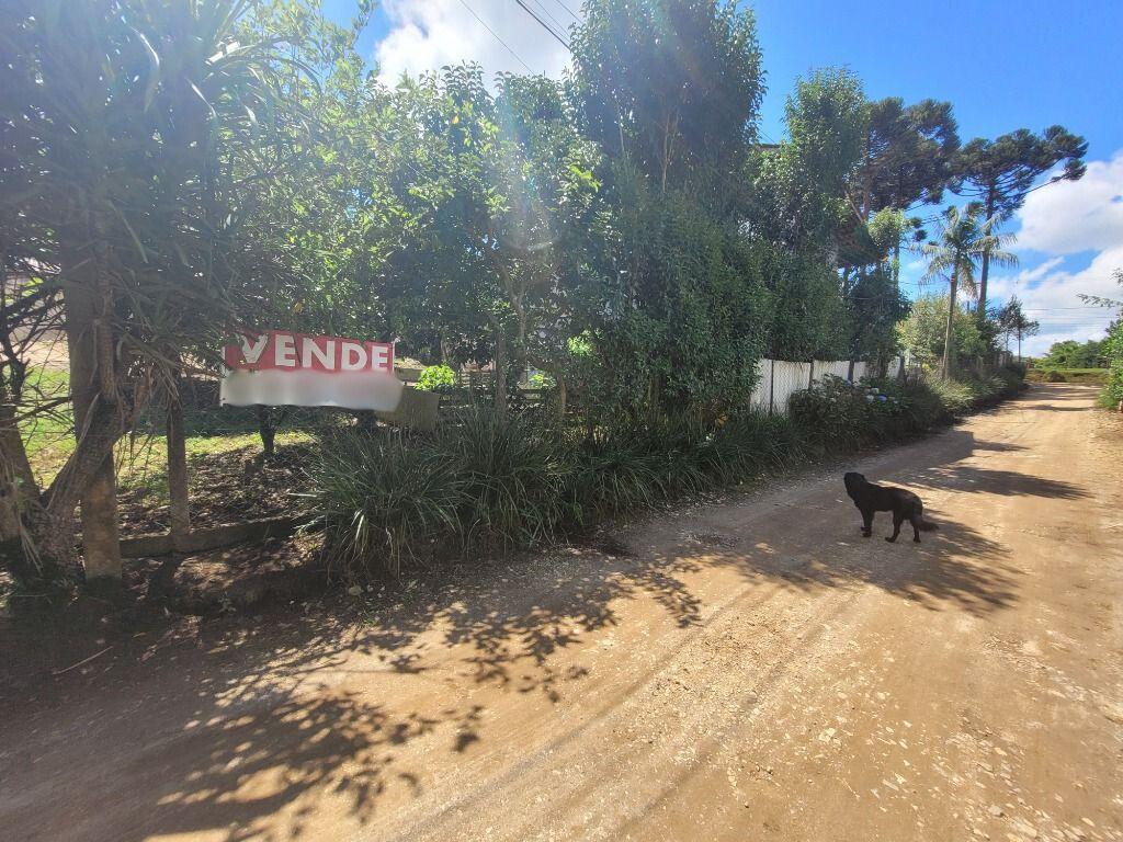 Terreno à venda, 300 m² por R$ 145.000 - São Gabriel - Colombo/PR