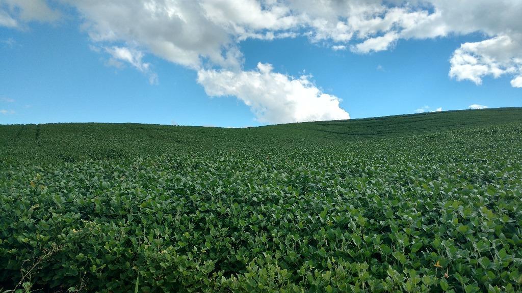 Chácara à venda ou locação, 120.000 m² - Areia Branca dos Assis - Mandirituba/PR