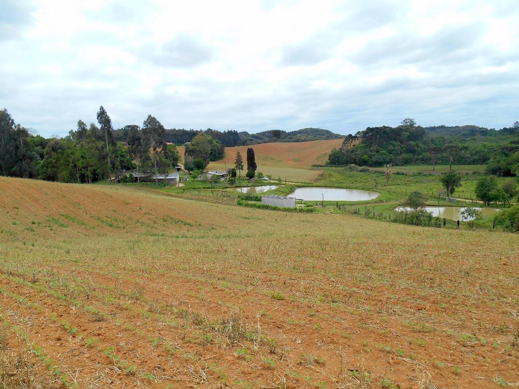 Chácara à venda ou locação, 120.000 m² - Areia Branca dos Assis - Mandirituba/PR