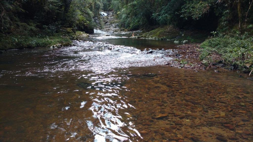 Fazenda de 92 alqueires com 16 cachoeiras e 25.000 pés de pinus à venda, - Contenda - São José dos Pinhais/PR