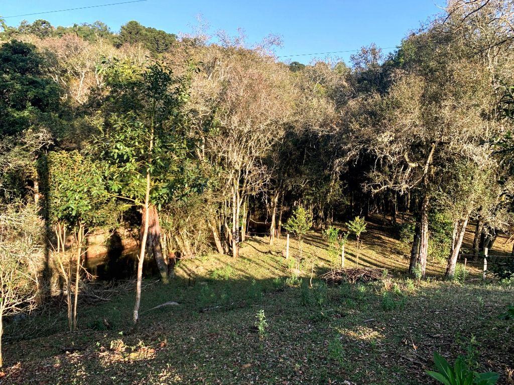 Chácara à venda, 24000 m² por R$ 900.000 - Br 116, Km-158 - Quitandinha/PR