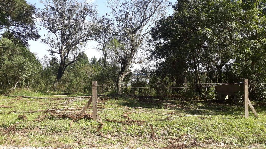 Chácara à venda, 11600 m² por R$ 950.000,00 - Granjas Eldorado - Piraquara/PR