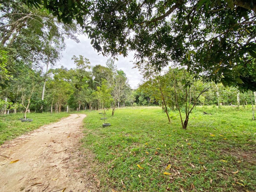 Área à venda, 187800 m² por R$ 4.800.000,00 - Cerro Azul - Cerro Azul/PR