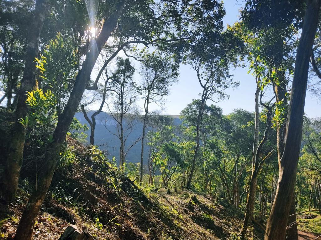 Área à venda, 48400 m² por R$ 650.000,00 - Centro - Balsa Nova/PR