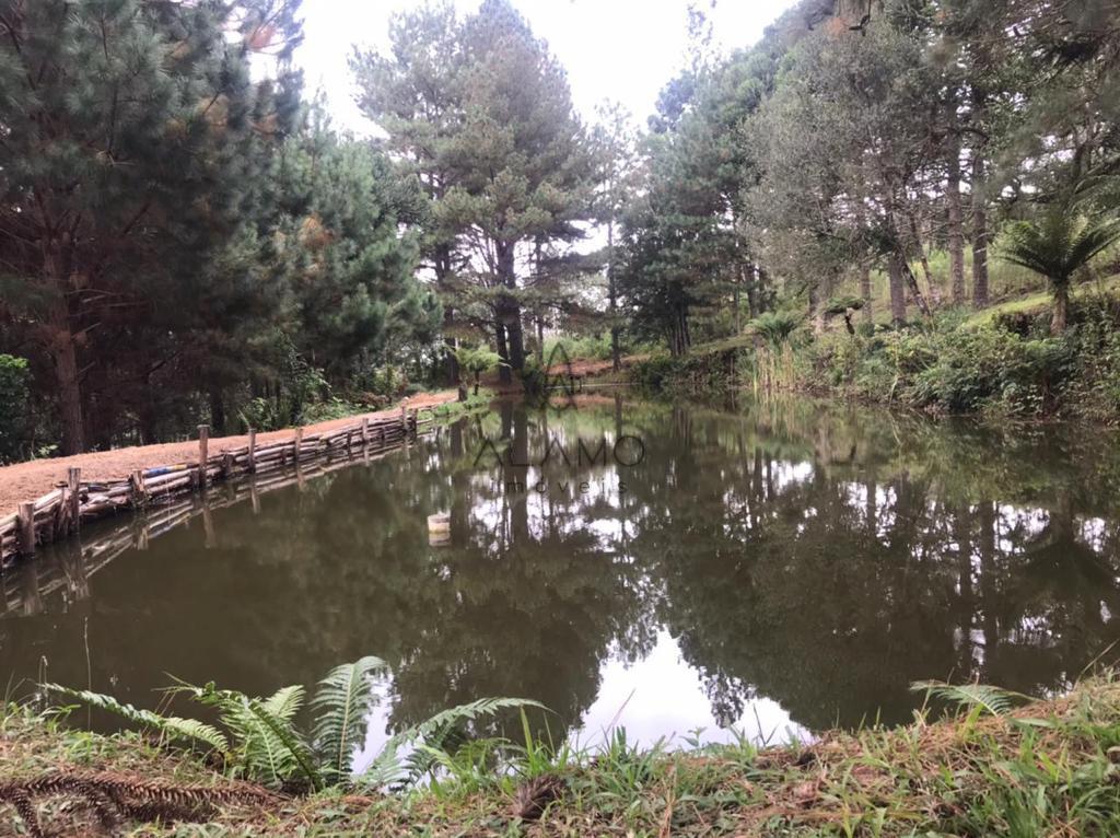 CHÁCARA com 4 dormitórios à venda com 101035m² por R$ 1.500.000,00 - AGUDOS DO SUL / PR
