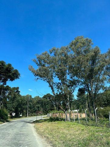 Terreno à venda, 8260 m² por R$ 3.549.000,00 - Alphaville Graciosa - Pinhais/PR