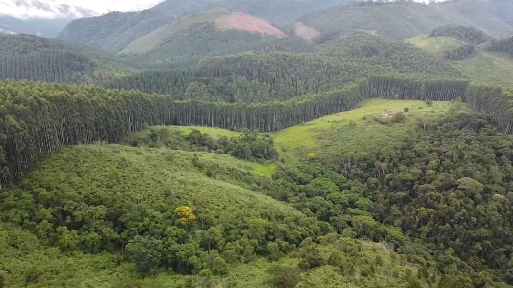 Sítio à venda, 912600 m² por R$ 849.900,00 - Caçadorzinho - Adrianópolis/PR