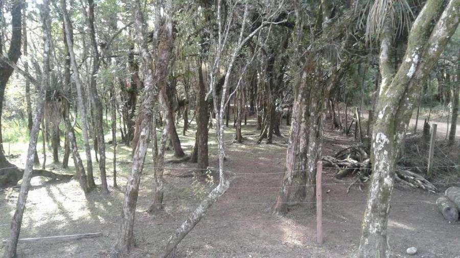 Chácara à venda, 43700 m² por R$ 990.000,00 - Estação - Araucária/PR