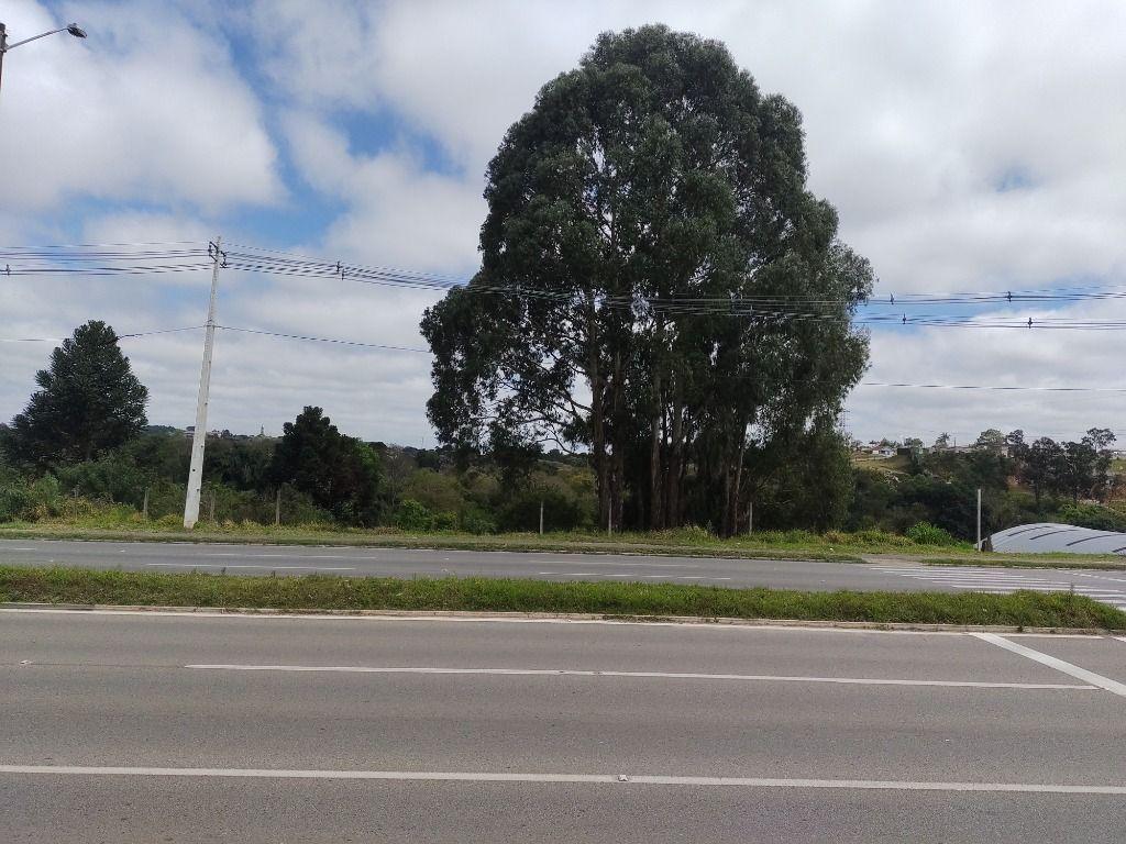 Terreno à venda, 4360 m² por R$ 1.800.000,00 - Atuba - Curitiba/PR