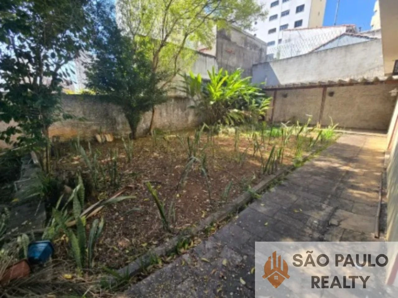 Sobrado à Venda na Aclimação | Terreno de 1.000 m² | Piscina | 6 Vagas