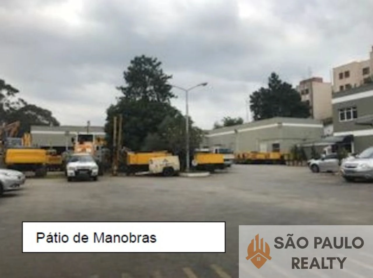 Miniatura 11