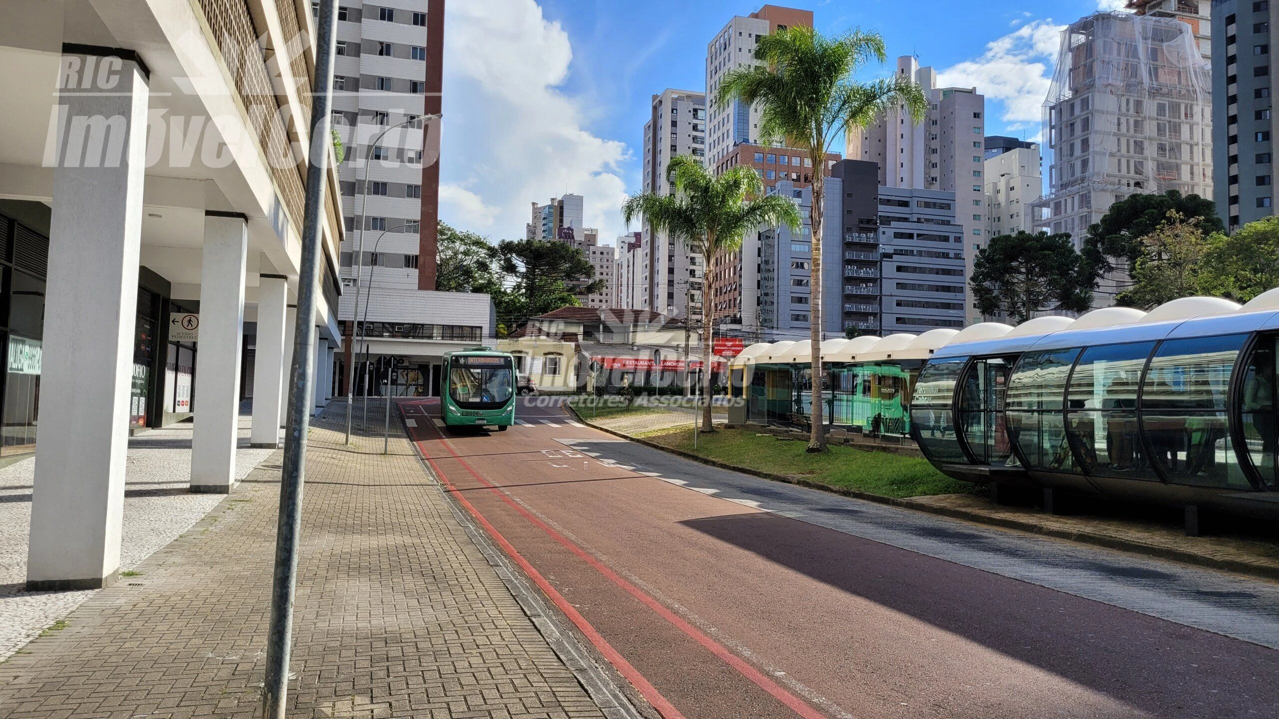 Miniatura 11