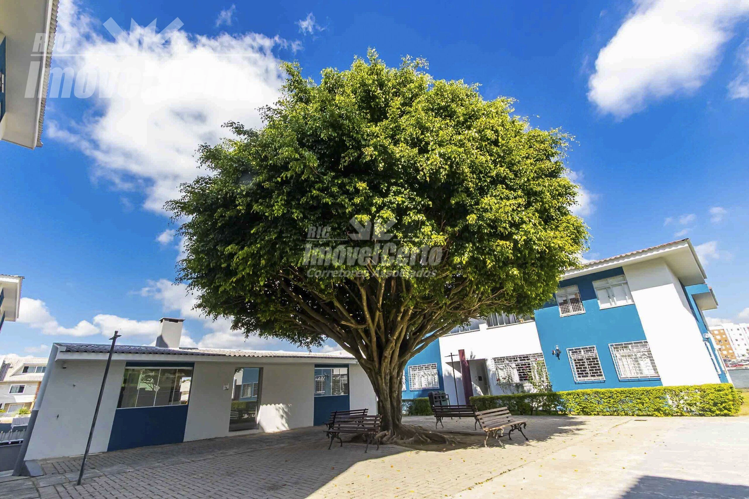 Apartamento 3 Quartos com Garagem Coberta no Capão