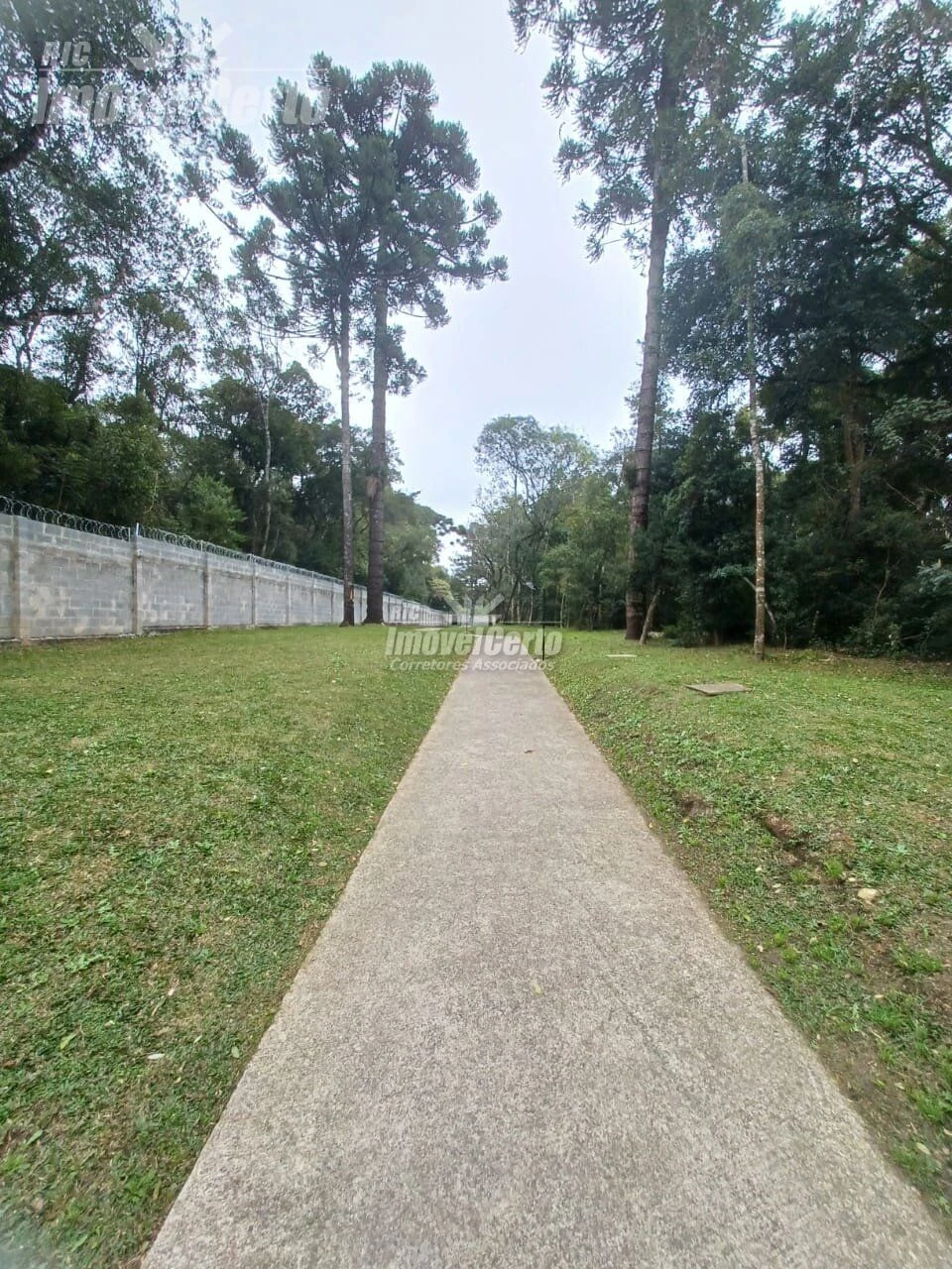 Apartamento dois dormitórios