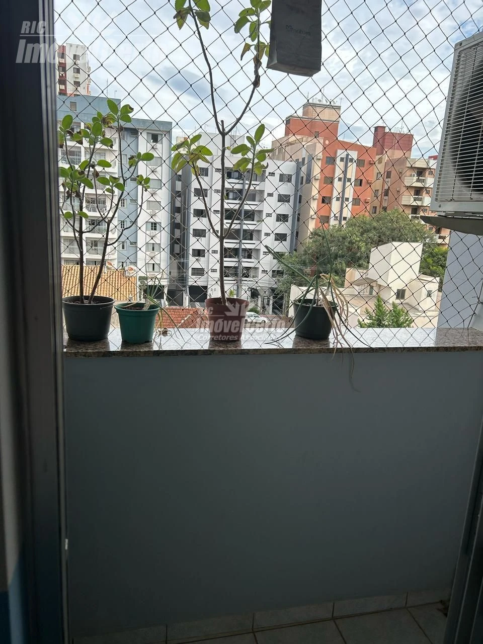 Miniatura 13
