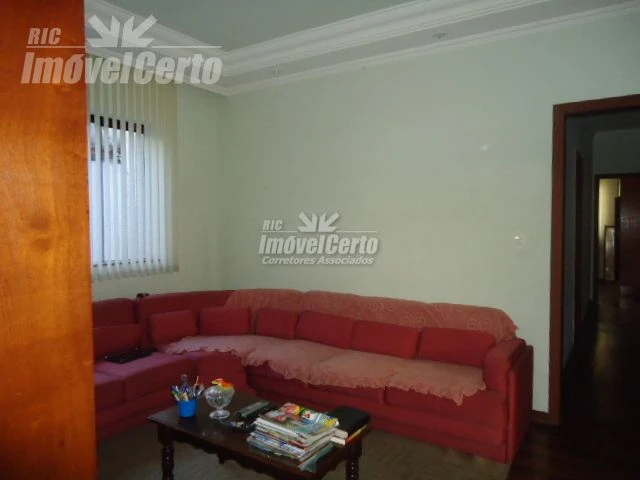 Miniatura 12