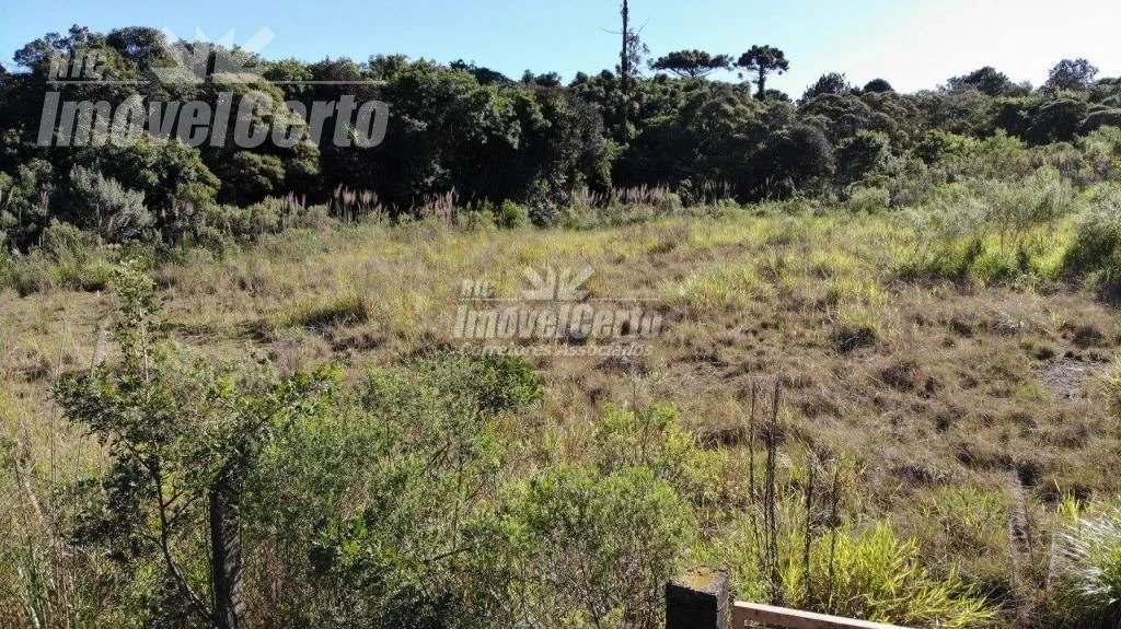 ÁREA de terreno com de 6.500,00m2. ZI - Zona Indus