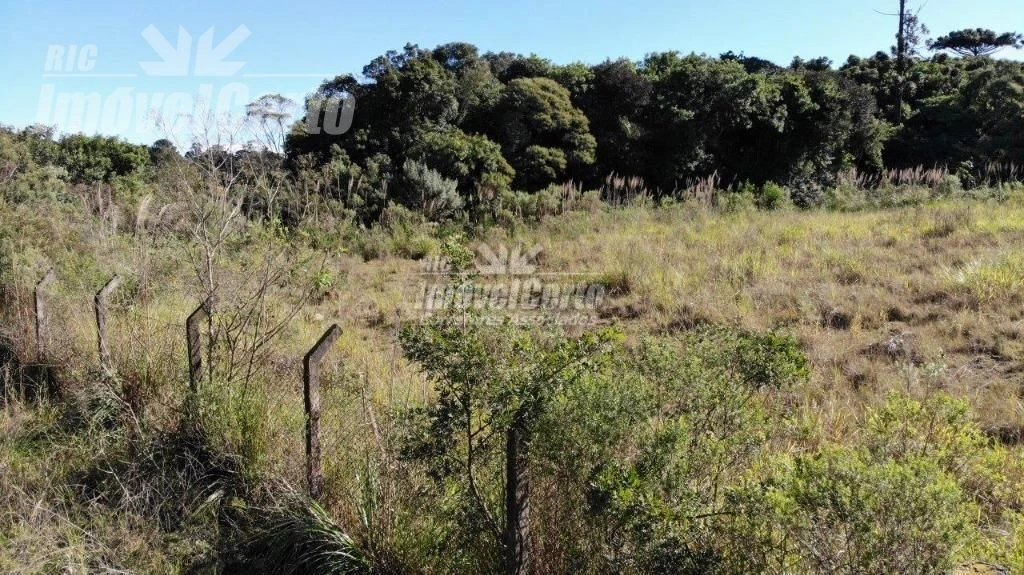Área de terreno situado na Cidade Industrial de Cu