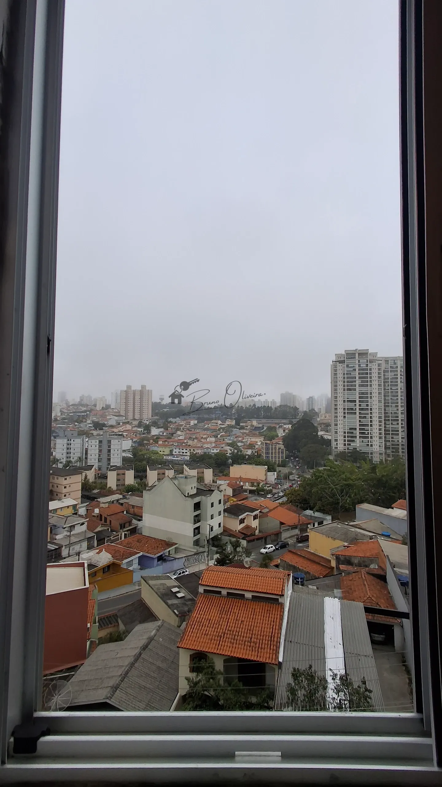 Miniatura 10
