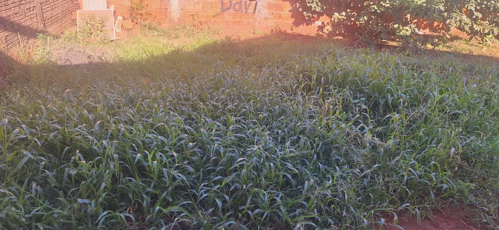 Vende-se casa no Lealdade