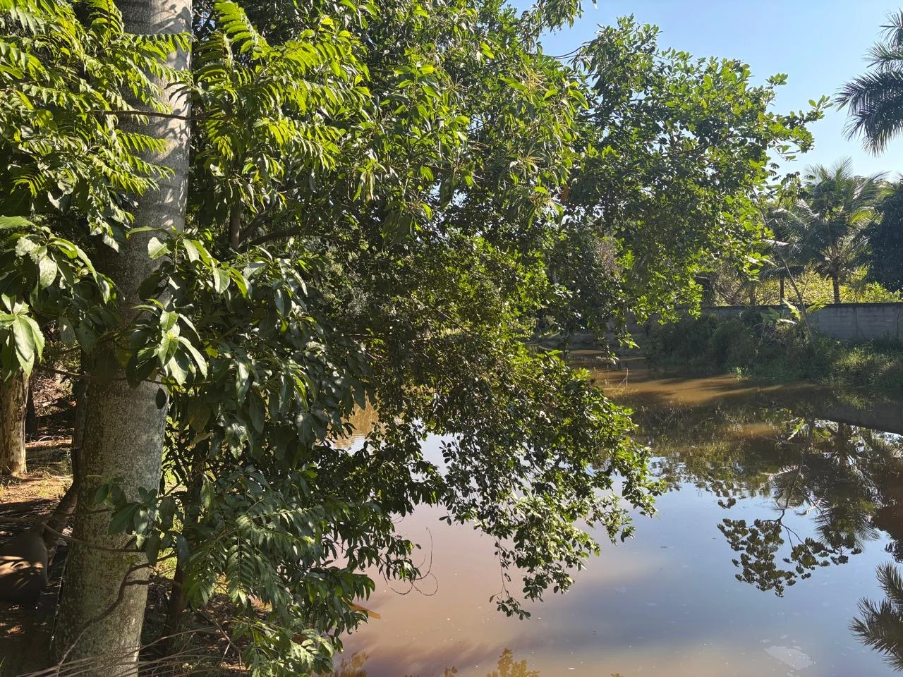 Terreno Murado a 1 km da Lagoa | 3 Min da Rota da Ferradura – Guarapari