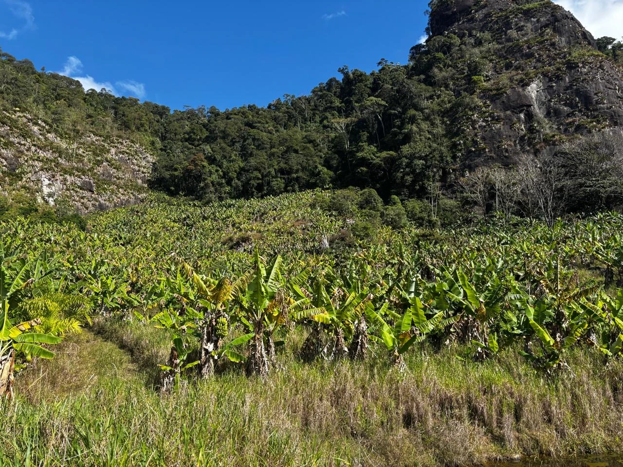 Excelente Fazenda em Biriricas, Domingos Martins | 5 Equitares, Muita Água e Natureza