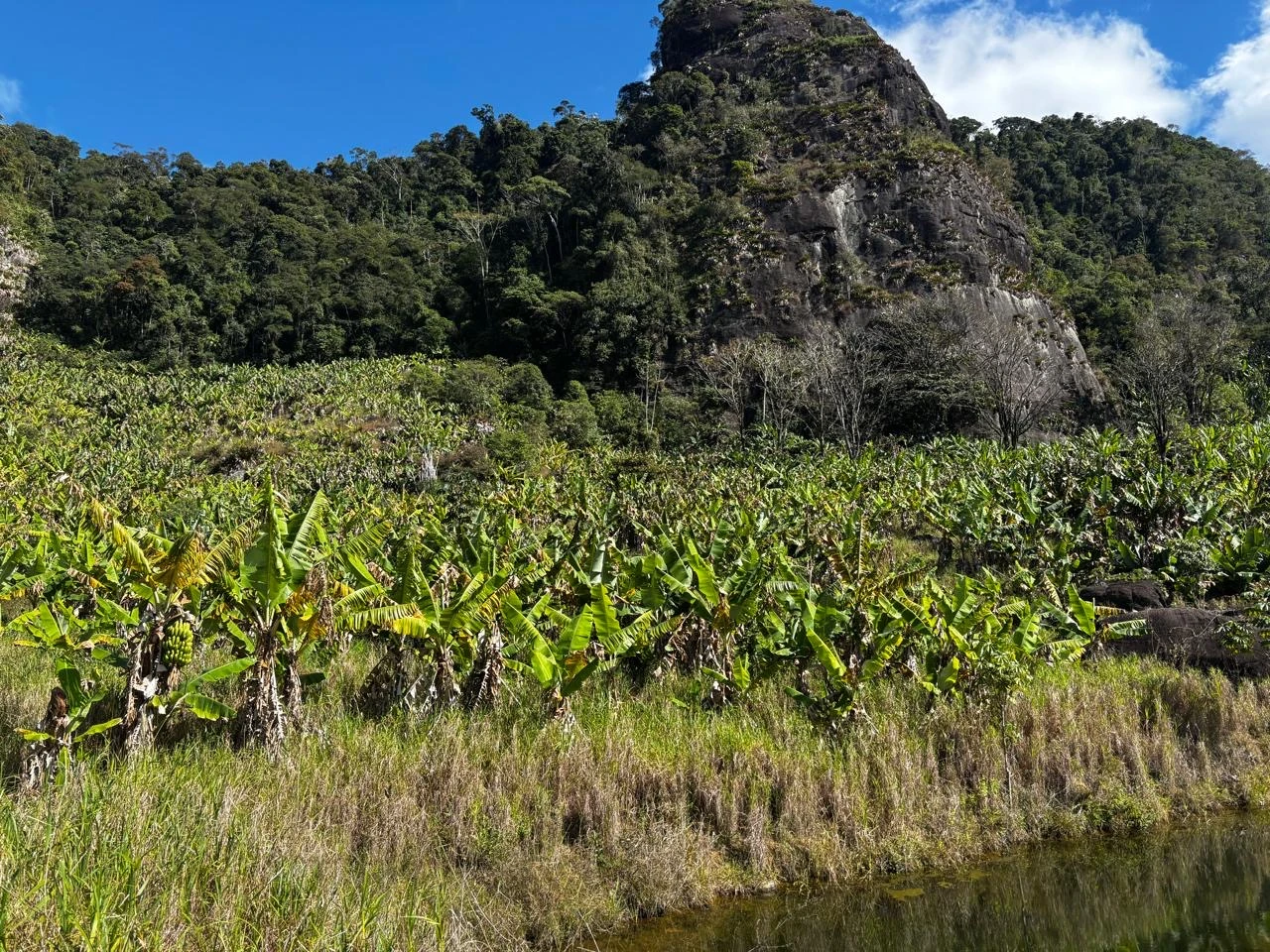 Excelente Fazenda em Biriricas, Domingos Martins | 5 Equitares, Muita Água e Natureza