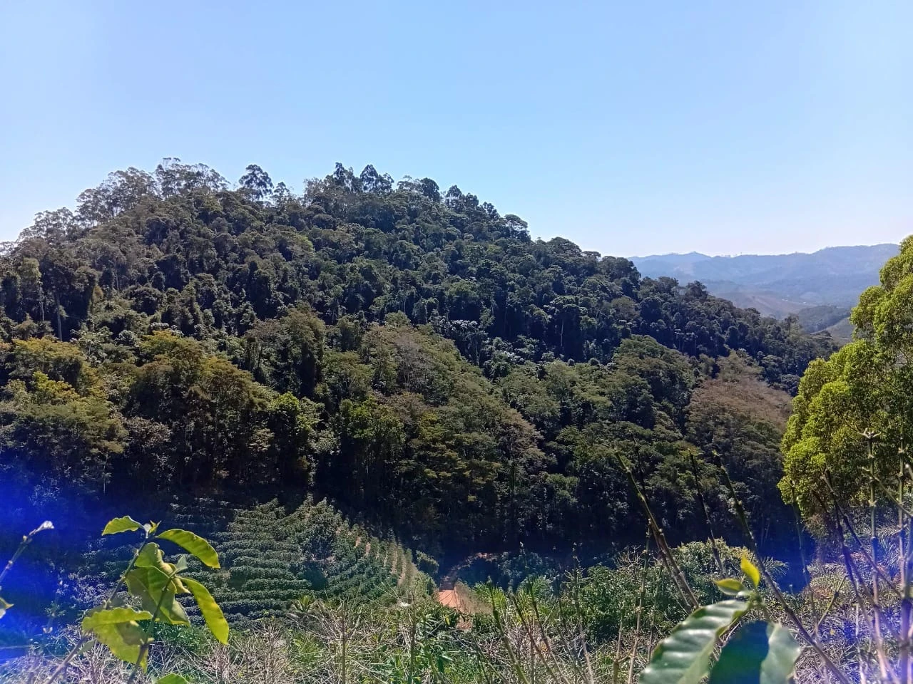 Sítio Produtivo à Venda em Paraju – Domingos Martins