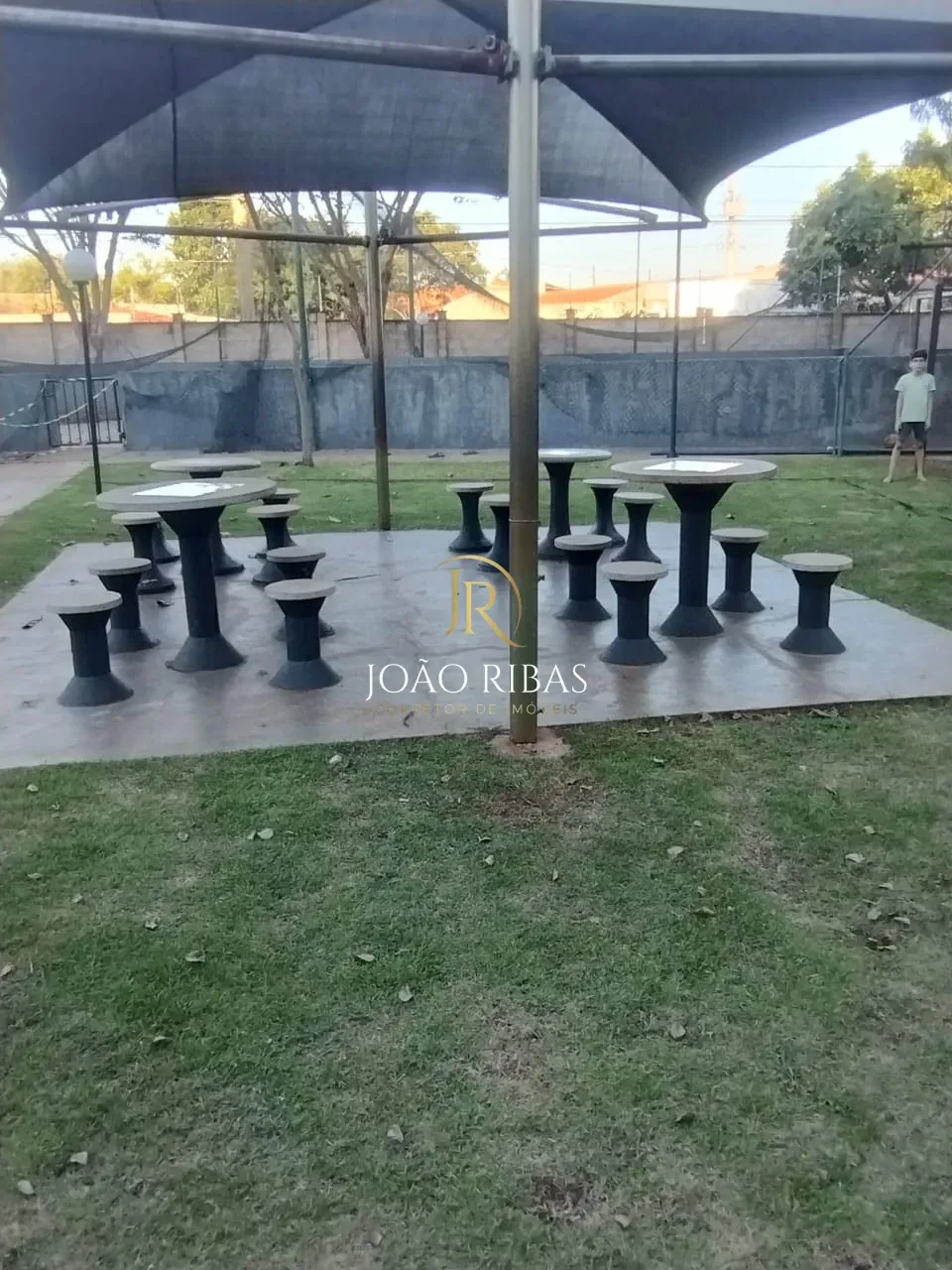 Miniatura 12
