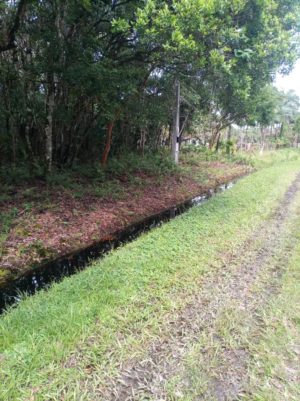 Terreno - Itanhaém - SP