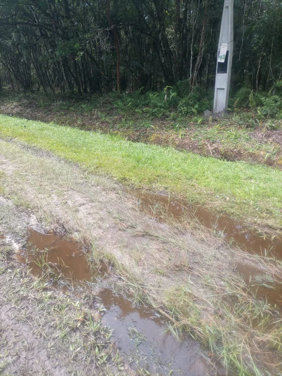 Terreno - Itanhaém - SP