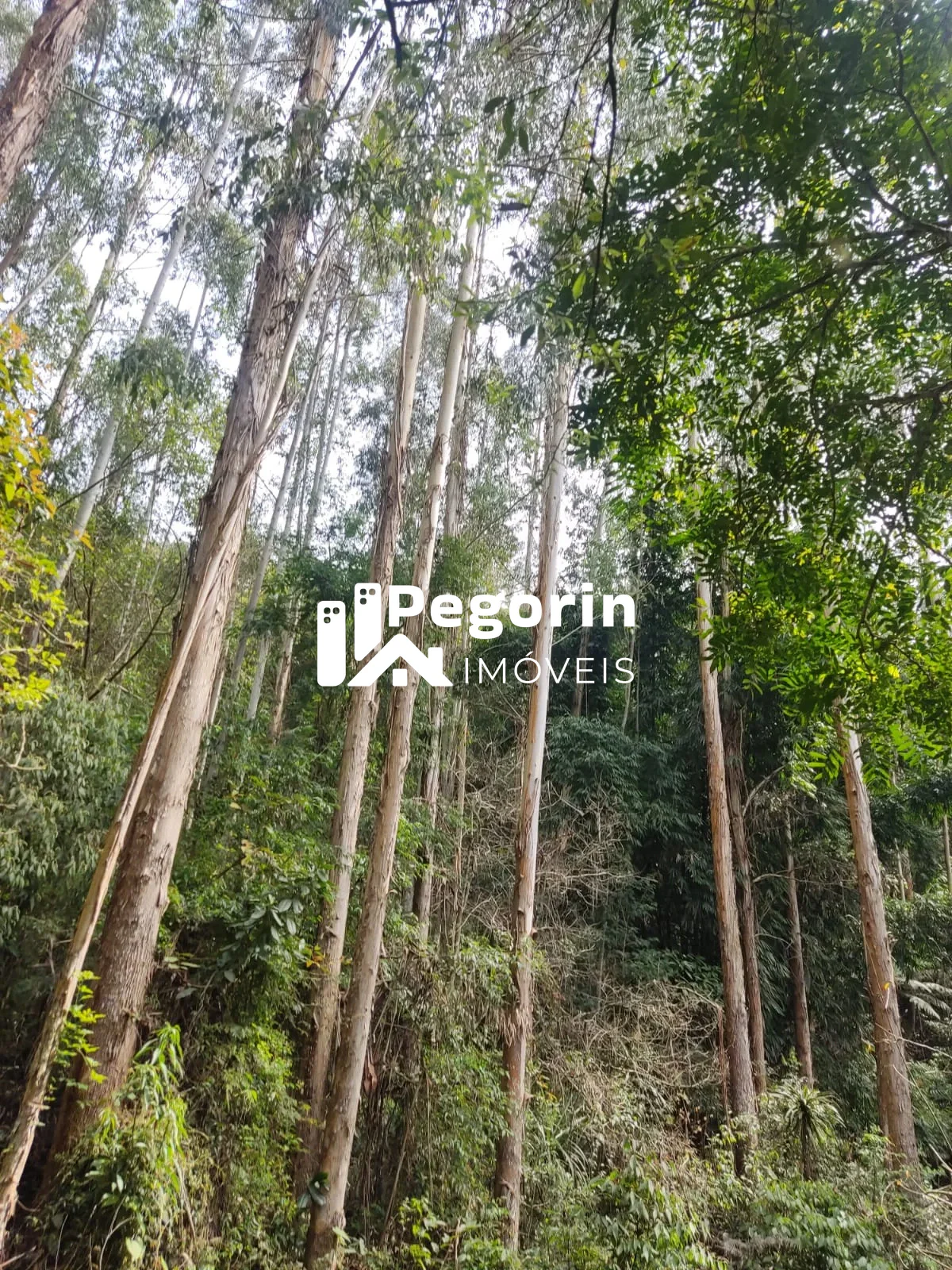 Miniatura 16