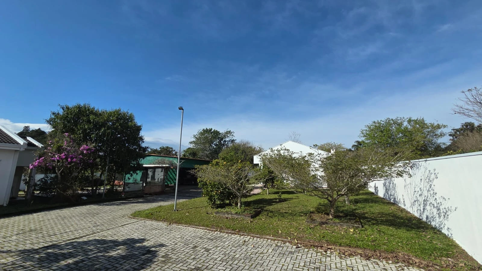 Miniatura 24