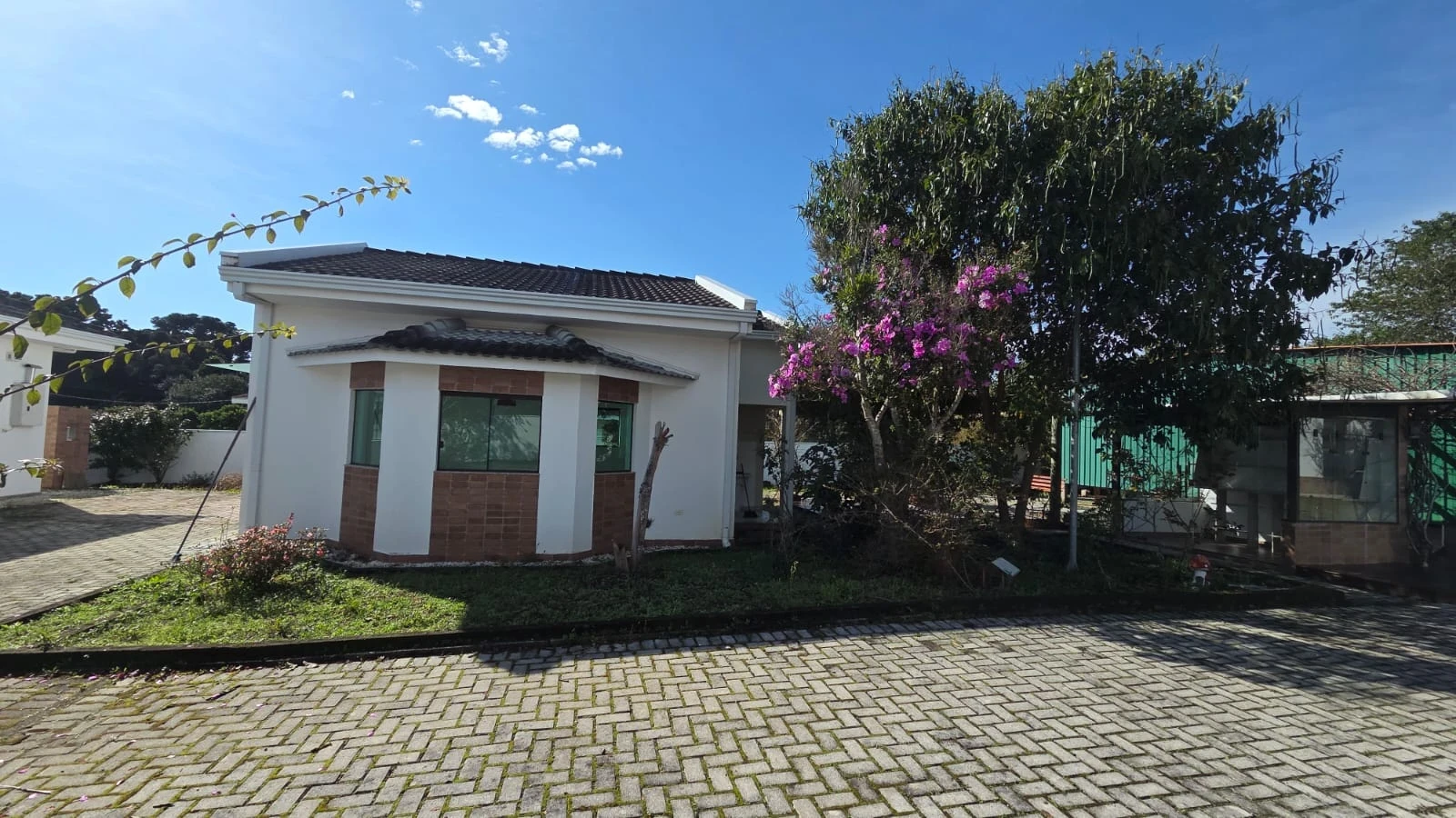 Miniatura 29