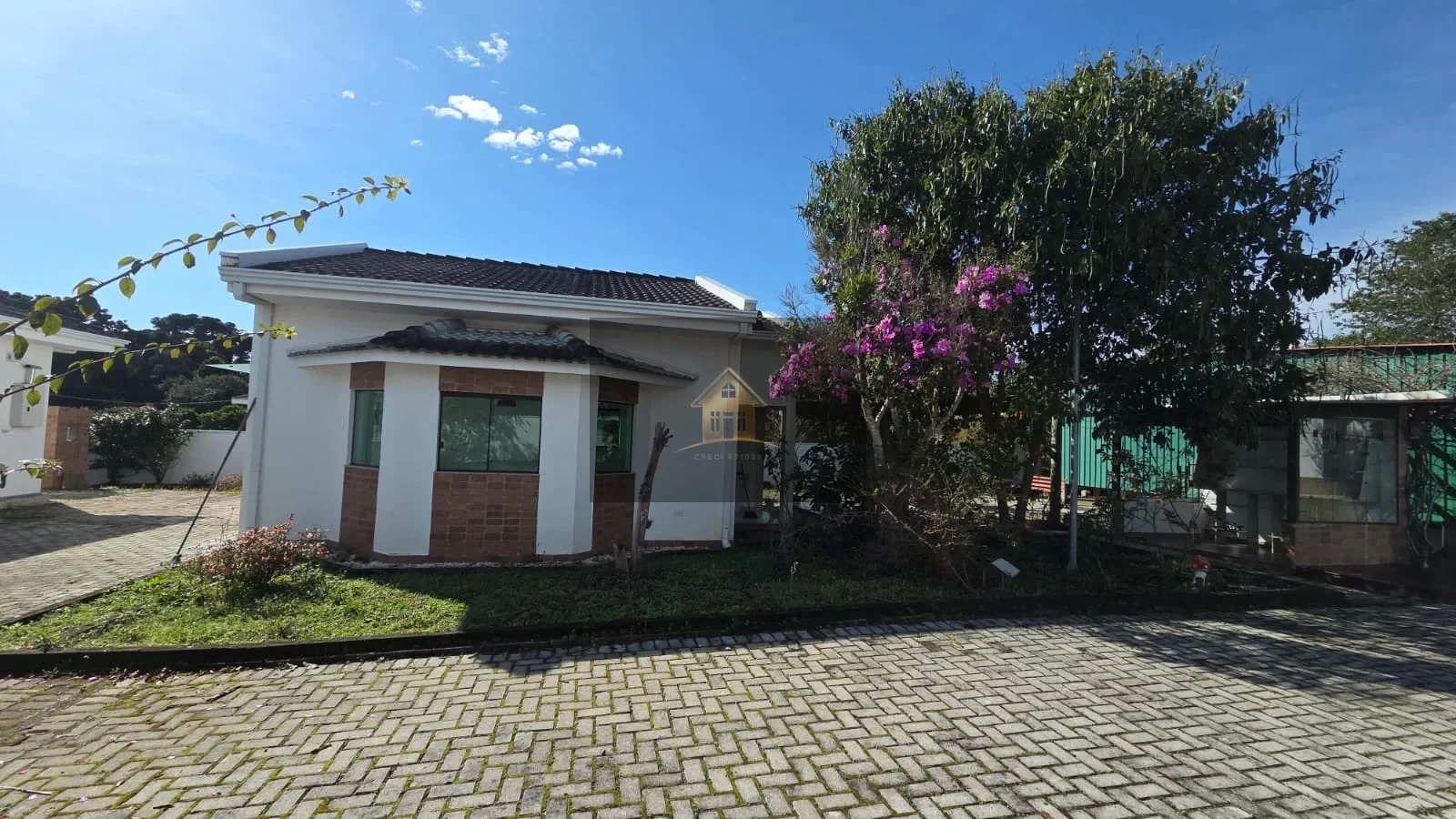 Miniatura 29