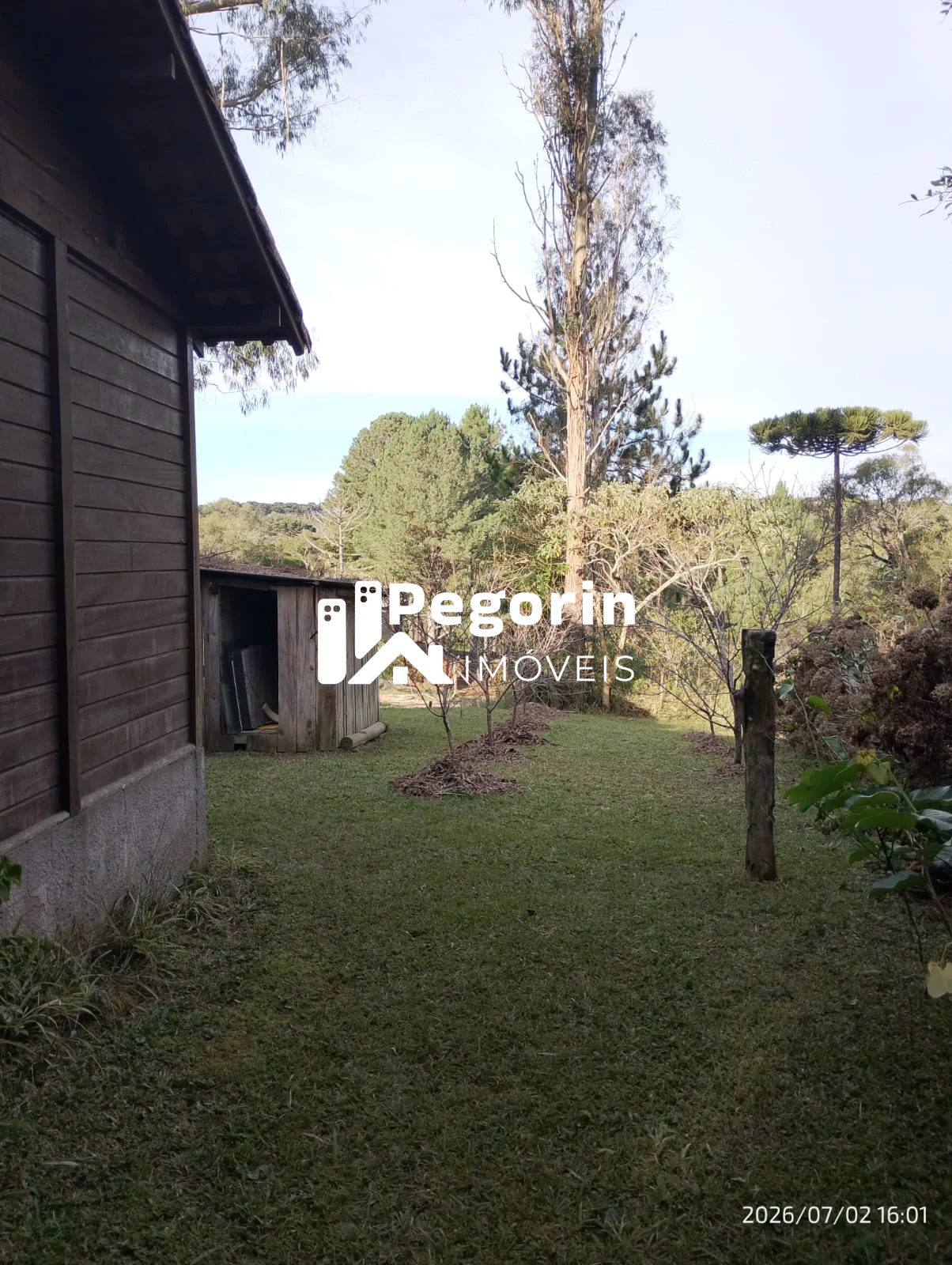 Sítio, 3 quartos, 2000 m² - Foto 6