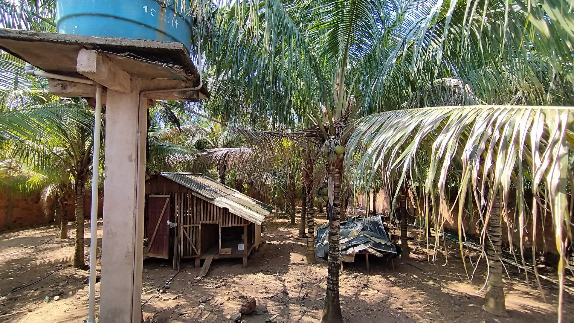 Chácara à venda com 2 quartos e piscina em Novo Horizonte, Porto Velho