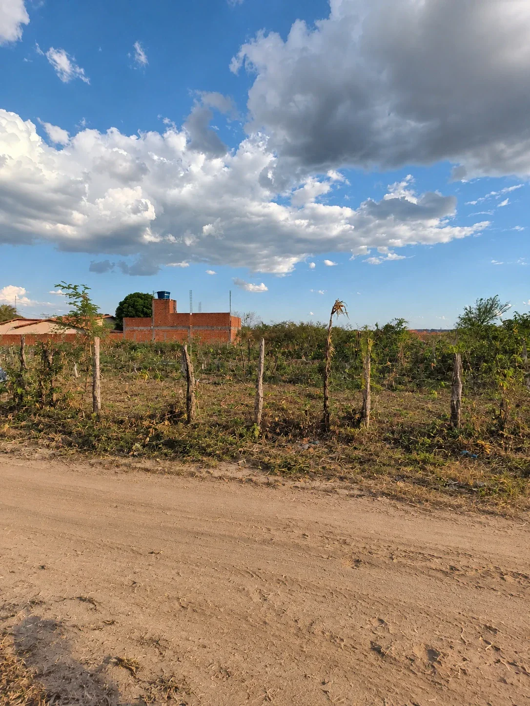 TERRENO À VENDA – PRÓXIMO À RUA PEDRO IVO | PEDRO II/PI