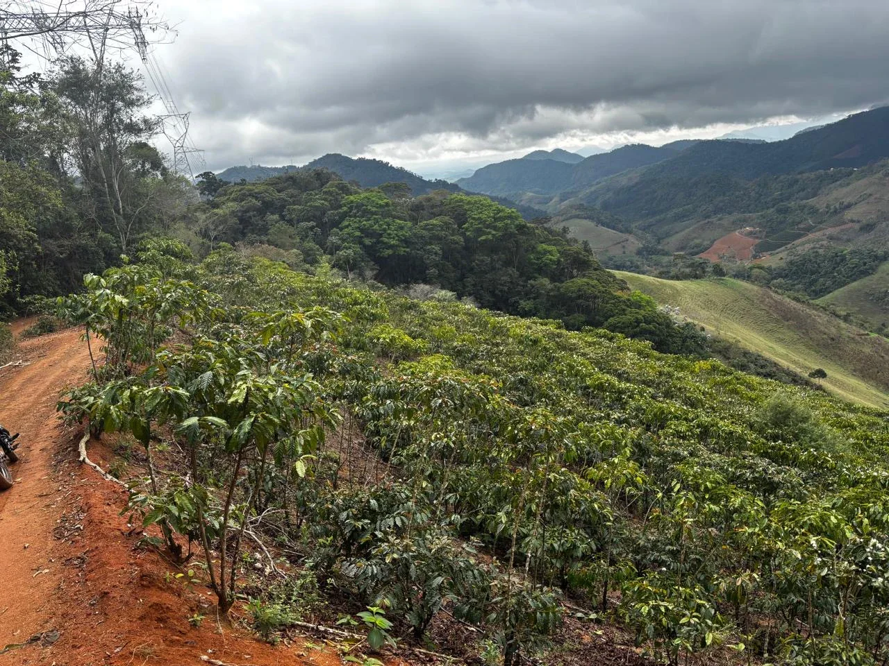 TERRENO RURAL COM 16 HECTARES E PRODUÇÃO DE CAFÉ – MEIA LÉGUA, SANTA LEOPOLDINA/ES