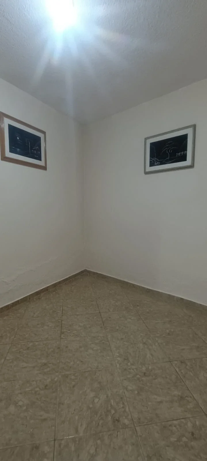 Miniatura 19